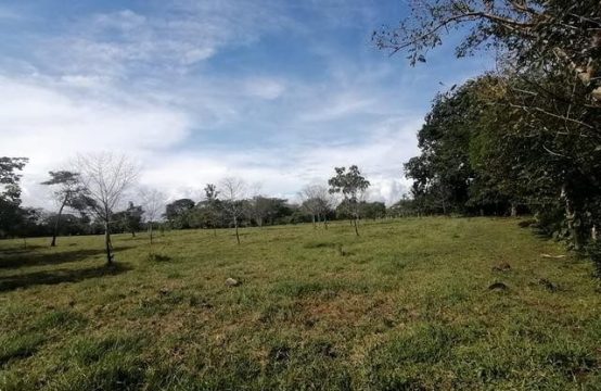 4.7 Acres de Terreno Fértil en Venta en Mata de Bugaba, Chiriquí