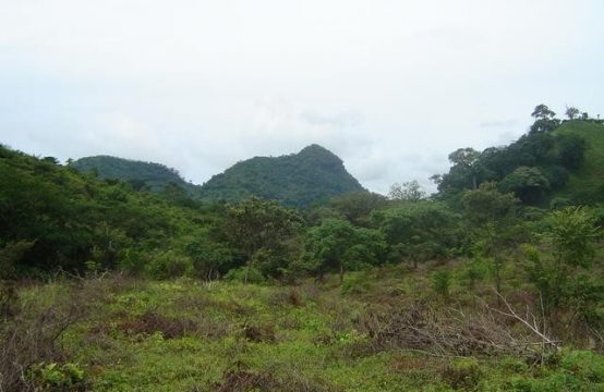 90 Hectare Land For Sale In Chame Panama
