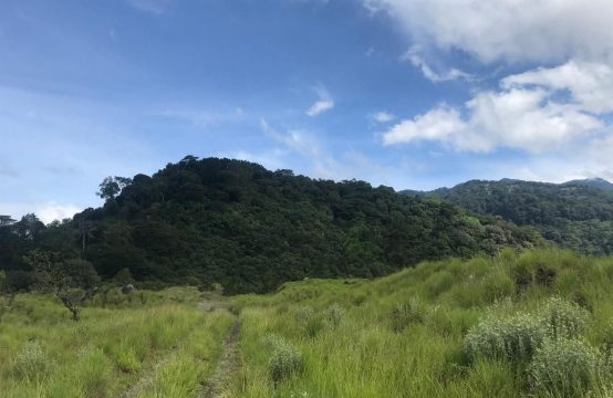 Land for Sale in Paso Ancho